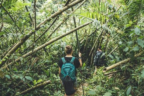 Explore Dalat Forest With Jungle Trekking Tour Focus Asia And Vietnam