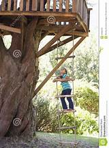 Tree Climbing Ladder Images