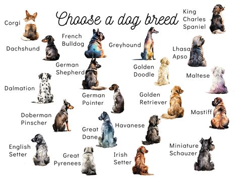 Dog Sympathy Card, Personalized With Name, Loss of Pet Dog, Angel