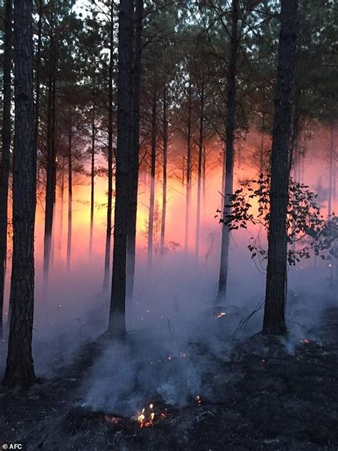 Wildfires Destroy 2221 Acres Across Alabama Amid A Southern Drought