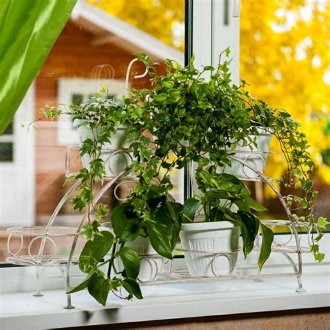 Fensterbank innen mit Blumen verschönern: Ideen und Tipps