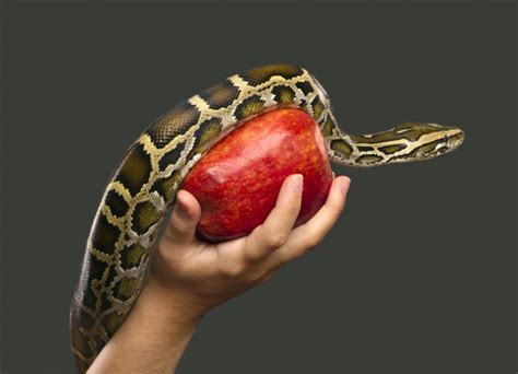 730 likes · 4 talking about this. DayBreaks for 4/26/18 - Why Sin Vanished from Our ...