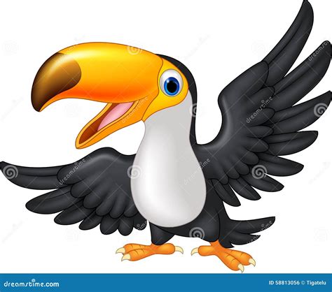 Bird Toucan Set Various Kind Identify Cartoon Vector Cartoondealer