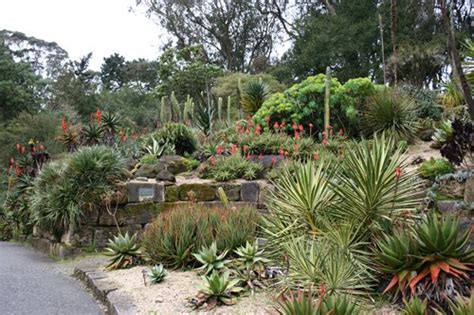 Organized by climate type and variety, the botanical garden showcases mild temperate climate vegetation similar to that of the bay area. Visit the San Francisco Botanical Garden - Landscaping Network