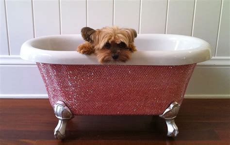 Wrap baby in a towel, exposing only those areas that you are washing. Swarovski Baby Bathtub - Luxury Bath For Your Pet ...