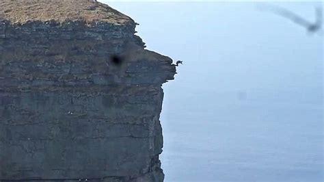 Daredevil Base Jumper Leaps Off 1100ft Cliff Face In Terrifying Stunt