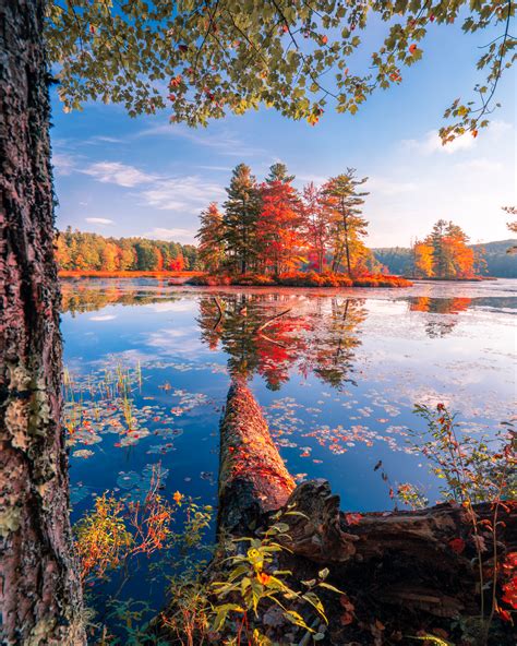 Fall Foliage In Petersham Ma — Jamie Malcolm Brown Photography