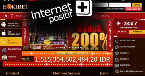 hokibet com