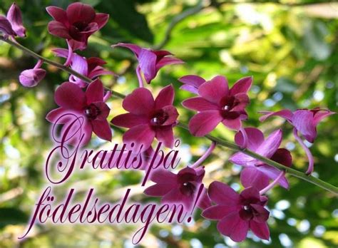 Varmt Grattis På Födelsedagen – varmtblogs