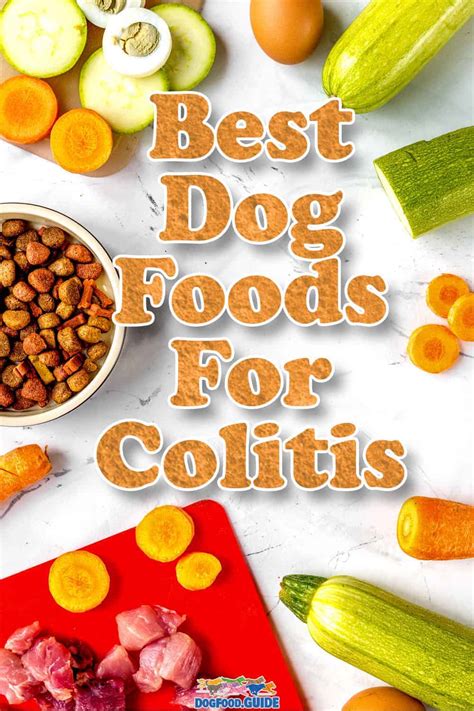 Best Dog Food For Colitis In 2022 How Important Is Your Dogs Diet