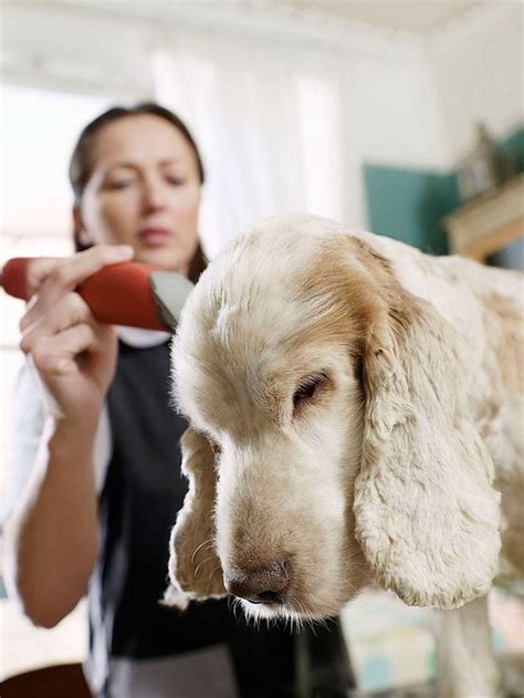 Clippers don't have such sharp blades and you can cut. Heavy Duty Dog Clippers for Matted Hair - Foniadakis