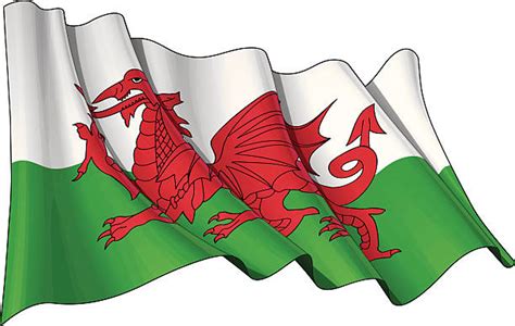 Royalty Free Welsh Flag Clip Art Vector Images And Illustrations Istock