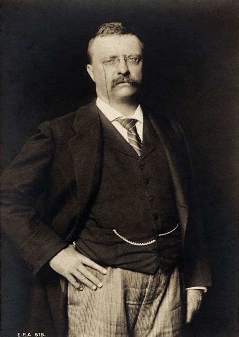 Assuming the presidency at the depth of the great depression, franklin d. A Biography of Theodore Roosevelt, 26th President of the U.S.