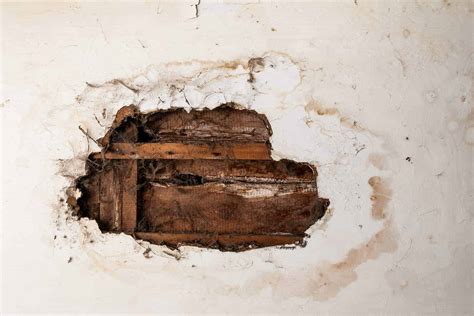 Your roof is designed to shield you and your family from bad weather. Roof Leak Repair: How to Find a Roof Leak and What to Do