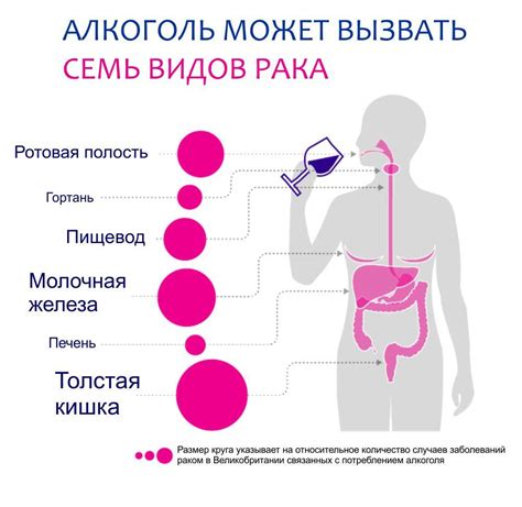 Рак и алкоголь: спиртное, как фактор риска возникновения онкологии, как ...