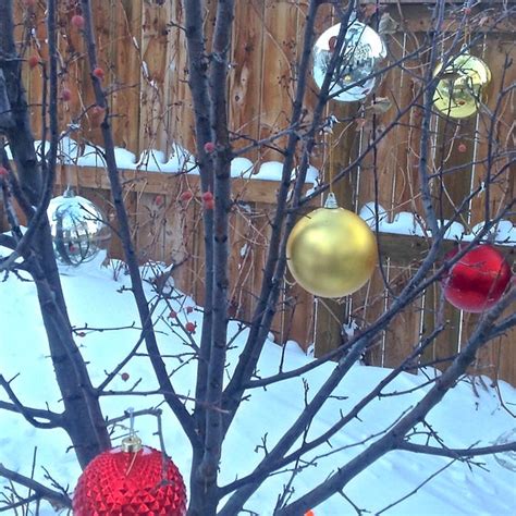 Holiday Decorating Idea Outdoor Tree Ornaments Utr Decorating