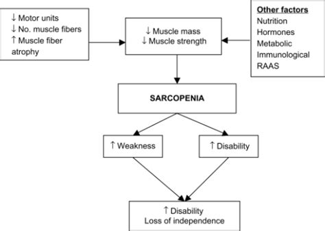 For sarcopenia diagnosis improve prediction of outcomes. Mechanism of sarcopenia.Abbreviation: RAAS, renin-ang | Open-i
