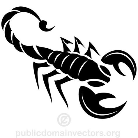 Scorpion Animal Graphics Royalty Free Stock Svg Vector