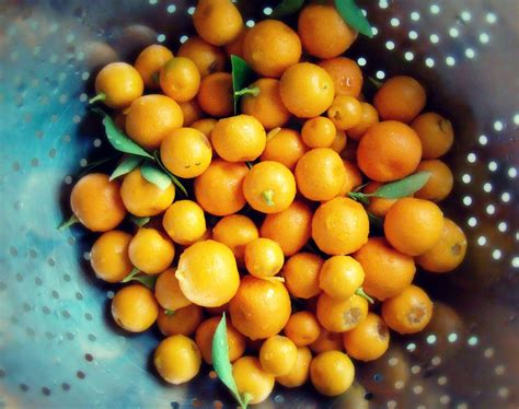 Calamansi juice filipino lemonade the little epicurean. Calamondin & White Rum Marmalade | Healthy eating recipes ...