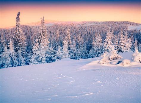 Colorful Winter Sunrise In The Carpathian Mountains Stock Image