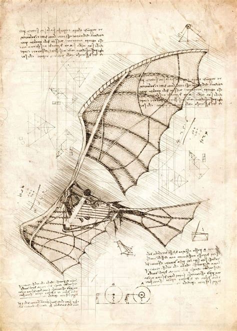 Leonardo Da Vincs Dream Of Flying