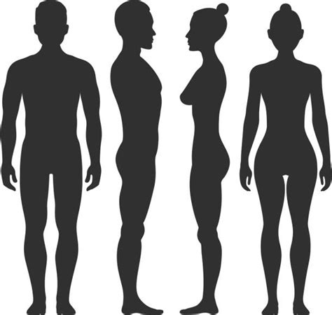 Find & download free graphic resources for man outline. Silhouette Clip Art, Vector Images & Illustrations - iStock
