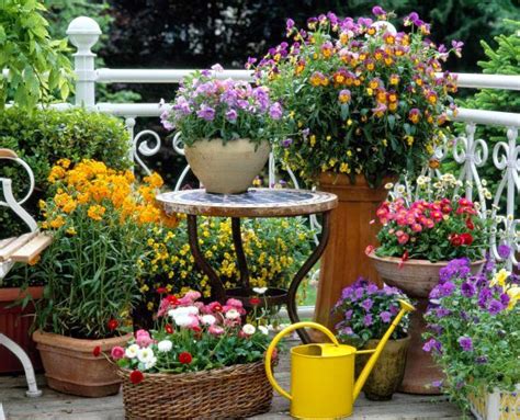 We did not find results for: Gardening in backyard patio