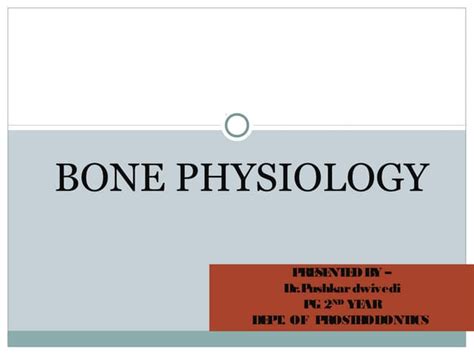 Bone Physiology Presentation Ppt