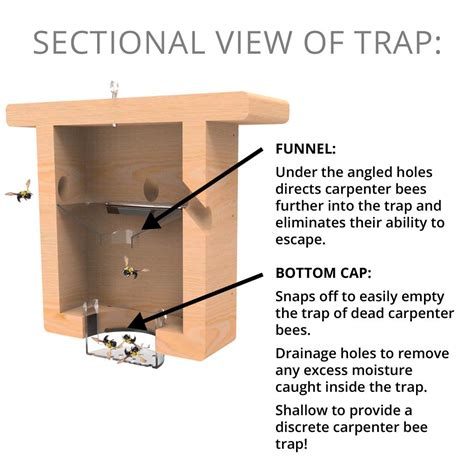 We have seen some people make their carpenter bee traps without an angled top; Plans For A Small Wood Box ~ My Forex Robot