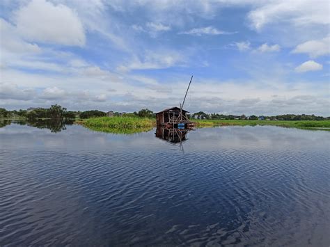 Melihat Keindahan Taman Nasional Sebangau - dodonulis