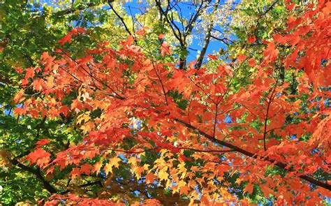 Check spelling or type a new query. Equinozio d'autunno 2020: quand'è e cos'è - IO Donna