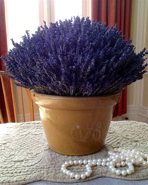 Beautiful Pot Filled With French Dried Lavender Great Way To Decorate