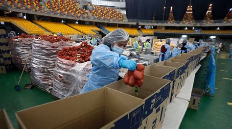 La primera fecha de postulación al subsidio es entre el 01 y 31 de agosto de 2021. Comenzaron los pagos del Subsidio al Nuevo Empleo: Revisa ...