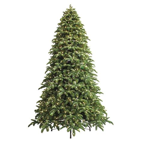 This tall, narrow tree features a long, columnar trunk and conical crown with short, nearly horizontal branches. Noble Fir Christmas Tree - Buy Noble Fir Artificial ...