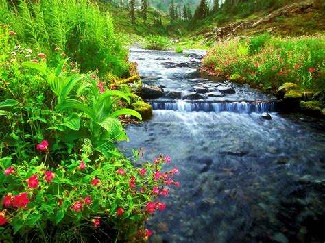 Wallpaper Nature Stream River Top Free Download Pics