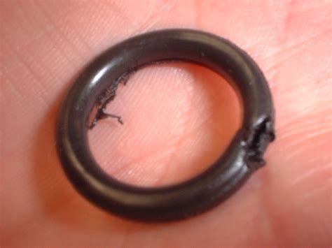 Maybe you would like to learn more about one of these? rattling noise from motor