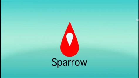 Sparrow 3d Remake Logo Youtube