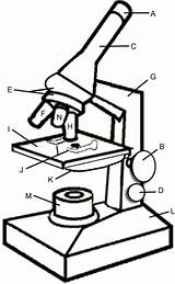 Microscope Coloring Parts sketch template