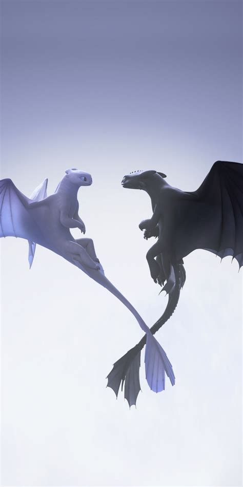 Toothless And Light Fury Wallpaper The Black Toothless Shown In The