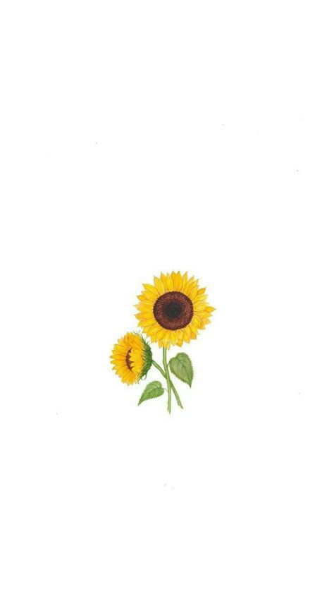 Pin by seryna on wallpapers | Sunflower wallpaper ... Find the best cute kawaii wallpapers on getwallpapers.