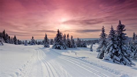 Lillehammer Norway Skiing At Sunset Cross Country Skiing