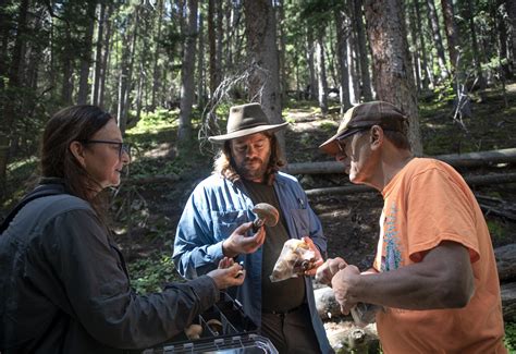 Taste, but don't swallow: Mushroom hunts are booming in Colorado
