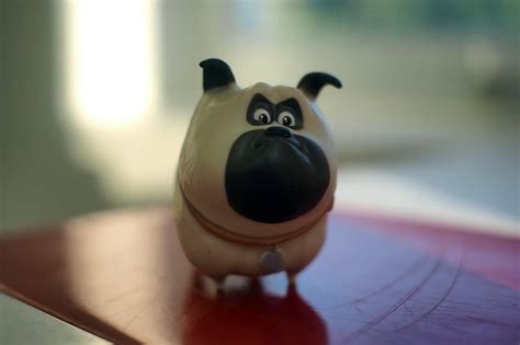 Many awesome characters name your doggo after from various pop cultures such as books, comics, and cartoons. 275+ Cartoon Dog Names - From Paw Patrol to Disney & More!