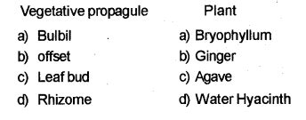 Plus Two Botany Chapter Wise Previous Questions Chapter 1 Reproduction