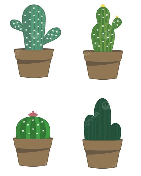 Cute Cactus, Cactus, Cactus Art, Watercolor Cactus PNG Transparent