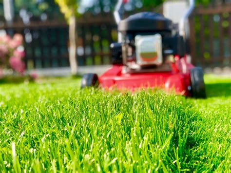 Lawn Mowing Heights For Buffalo Grass Myhometurf