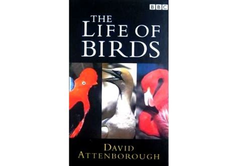 Life Of Birds The 1998 On Bbc Video United Kingdom Vhs Videotape