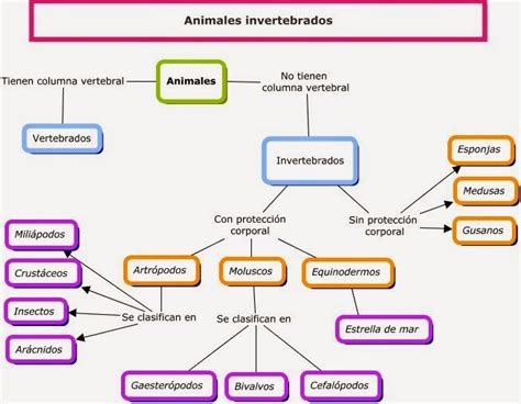 ANIMALES VERTEBRADOS E INVERTEBRADOS: Clasificación de animales