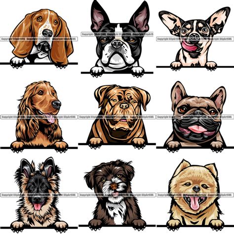Dogs Peeking Color Clipart Svg