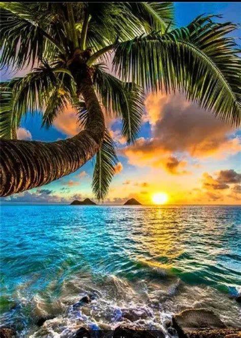 Us Seller 40x30cm Ocean Beach Palm Tree Sunset Tropical Etsy In 2020
